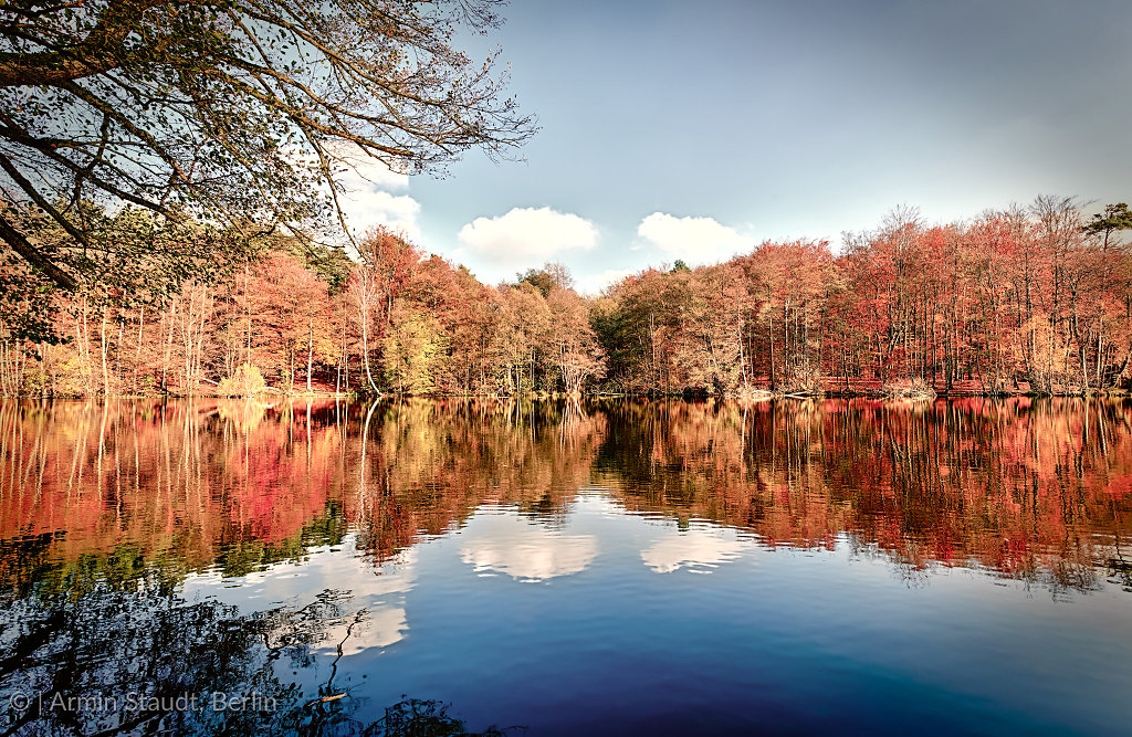 panorama of autumn trees at a glassy lake